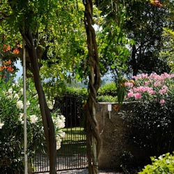 Mas chambres d’hôtes avec Piscine en Provence - domaine de l'Odylée